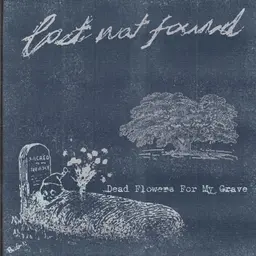 Lost Not Found